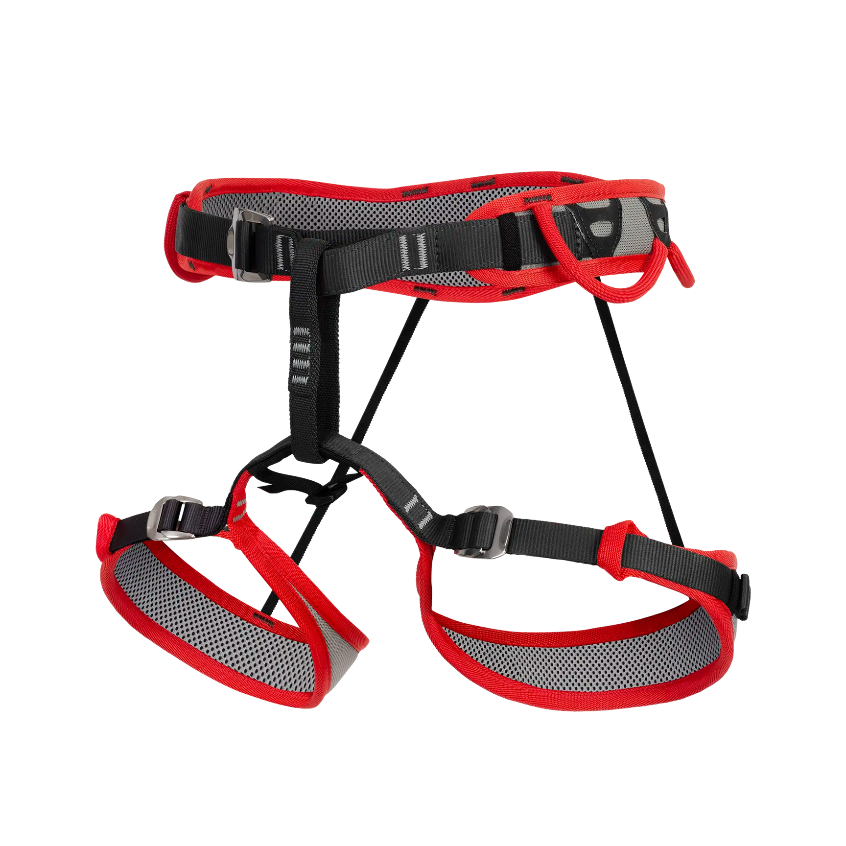 HARNESSES