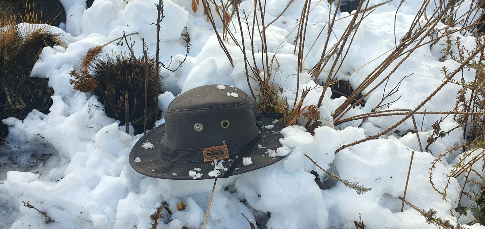 Rogue 710G Munda Safari Hat
