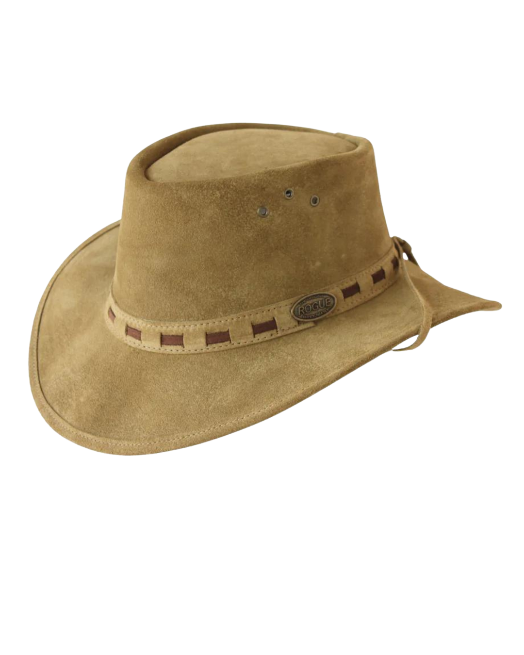 Rogue 110P OneTen Hat