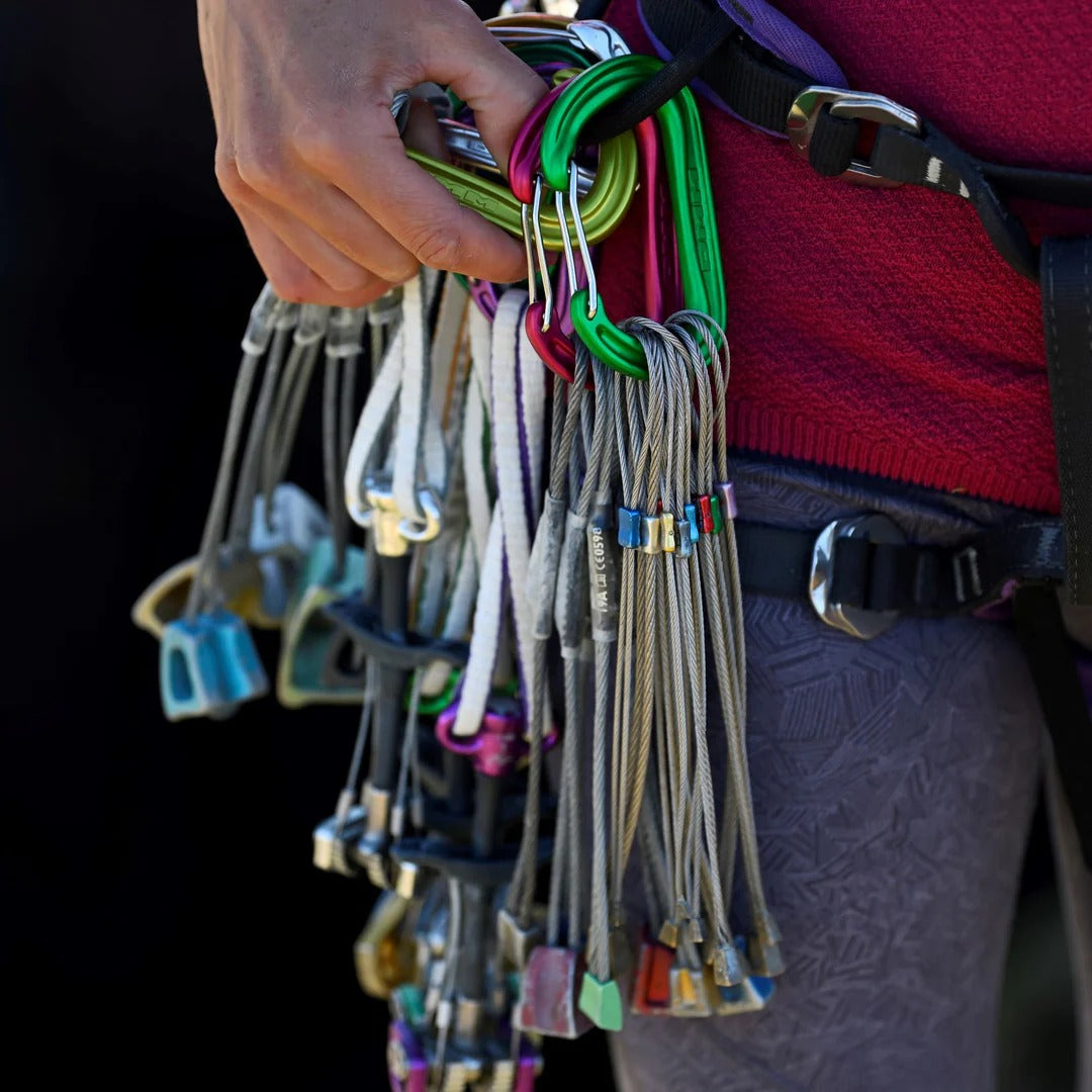DMM WallDO Carabiner