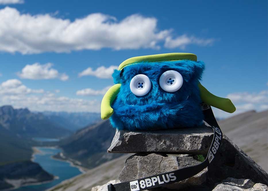 MAX The 8BPLUS Chalk Bag