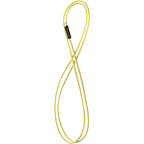 CT CIPE Lanyard